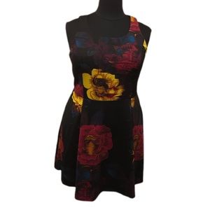 Rachel Roy Floral Fit and Flare Dress